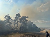 Bild: Brand eines Feldes bei Reinsdrof
