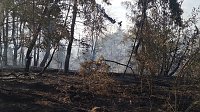 Bild: Brand eines Feldes bei Reinsdrof