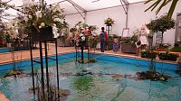 Bild: Stippvisite bei der Landesgartenschau in Bad Gandersheim