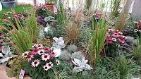 Bild: Stippvisite bei der Landesgartenschau in Bad Gandersheim