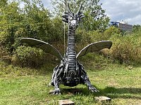 Bild: Drachen-Alarm am Sundh&auml;user Kiesteich