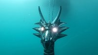 Bild: Drachen-Alarm am Sundh&auml;user Kiesteich