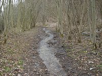 Bild: Wasser auf Wanderweg