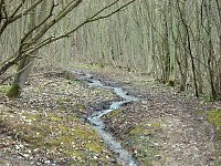 Bild: Wasser auf Wanderweg