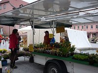 Bild: Start Apfelsch&auml;ppermarkt