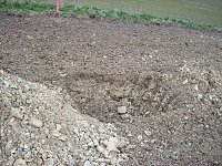 Bild: Baumpflanzung Ortsumfahrung