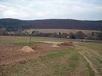 Bild: Baumpflanzung Ortsumfahrung