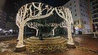 Bild: Peter Blei unterwegs in Magdeburg