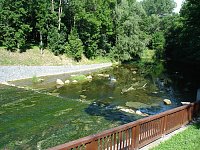 Bild: Helbewehr bei Wasserthaleben
