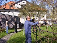 Bild: Fr&uuml;hjahrsputz Bad Frankenhausen