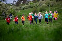 Bild: Crosslauf am Schlachtenberg bei Bad Frankenhausen
