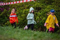 Bild: Crosslauf am Schlachtenberg bei Bad Frankenhausen