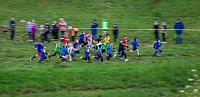Bild: Crosslauf am Schlachtenberg bei Bad Frankenhausen