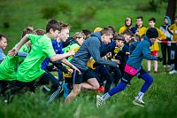 Bild: Crosslauf am Schlachtenberg bei Bad Frankenhausen