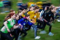 Bild: Crosslauf am Schlachtenberg bei Bad Frankenhausen
