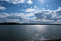 Bild: Flora und Fauna am Stausee Kelbra