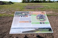 Bild: Flora und Fauna am Stausee Kelbra