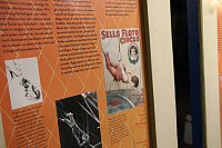 Bild: Besuch in der Circus M&uuml;hle Kelbra