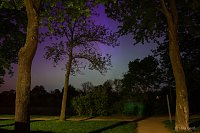 Bild: Polarlichter im Schlosspark Sondershausen
