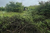 Unfall bei Nordhausen Bild: Unfall bei Nordhausen