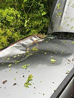 Unfall bei Nordhausen Bild: Unfall bei Nordhausen