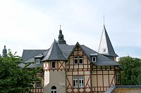 Peter Blei unterwegs auf Schwanensuche Bild: Peter Blei unterwegs auf Schwanensuche