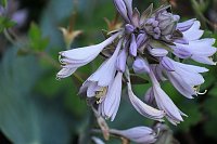 Bild: Unterwegs in Wald und Wiese