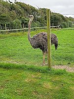 Bild: Urlaub in D&auml;nemark