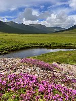 Bild: Isle of Skye in Schottland 