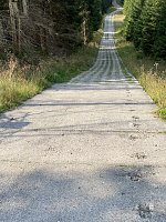 Bild: Sommerwanderung zum Brocken