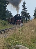Bild: Sommerwanderung zum Brocken