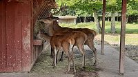 Ein Tag in der Natur Bild: Ein Tag in der Natur