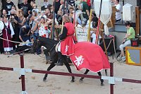 Bild: Hochprofessionelle Reitershow mit "Wenzel Ritterspiele"