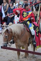 Bild: Hochprofessionelle Reitershow mit "Wenzel Ritterspiele"