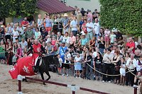 Bild: Hochprofessionelle Reitershow mit "Wenzel Ritterspiele"