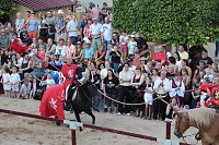 Bild: Hochprofessionelle Reitershow mit "Wenzel Ritterspiele"