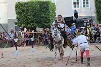 Bild: Hochprofessionelle Reitershow mit "Wenzel Ritterspiele"