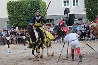 Bild: Hochprofessionelle Reitershow mit "Wenzel Ritterspiele"