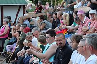 Bild: Hochprofessionelle Reitershow mit "Wenzel Ritterspiele"
