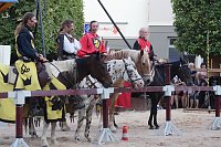 Bild: Hochprofessionelle Reitershow mit "Wenzel Ritterspiele"