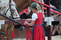 Bild: Hochprofessionelle Reitershow mit "Wenzel Ritterspiele"