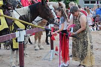 Bild: Hochprofessionelle Reitershow mit "Wenzel Ritterspiele"