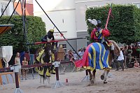Bild: Hochprofessionelle Reitershow mit "Wenzel Ritterspiele"