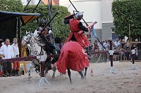 Bild: Hochprofessionelle Reitershow mit "Wenzel Ritterspiele"