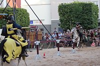 Bild: Hochprofessionelle Reitershow mit "Wenzel Ritterspiele"