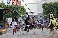 Bild: Hochprofessionelle Reitershow mit "Wenzel Ritterspiele"