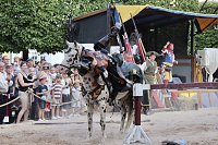Bild: Hochprofessionelle Reitershow mit "Wenzel Ritterspiele"