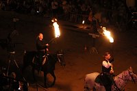 Bild: Hochprofessionelle Reitershow mit "Wenzel Ritterspiele"