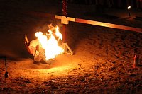 Bild: Hochprofessionelle Reitershow mit "Wenzel Ritterspiele"