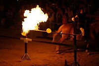 Bild: Hochprofessionelle Reitershow mit "Wenzel Ritterspiele"